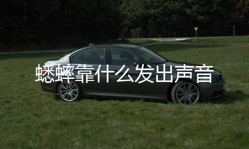 蟋蟀音么发出声靠什