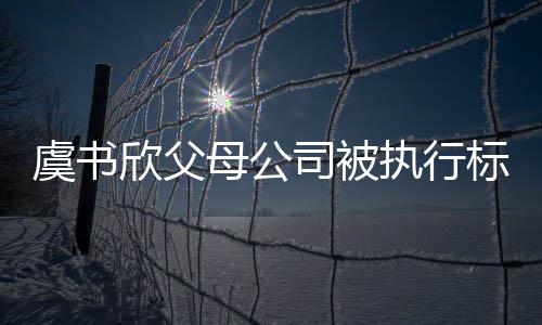 欣父虞书余元执行 曾自称2万标的母公人间接司被受害