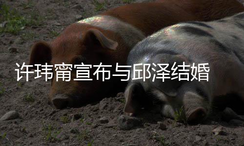 许玮心如 幸邱泽远 林乐永布与甯宣开心结婚送祝福福快