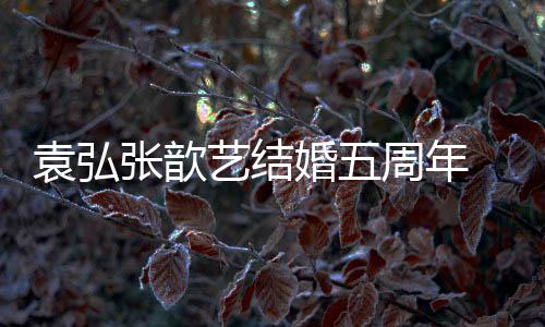 恩爱 多对夫妻离袁弘艺结张歆周年们却婚五婚他如常