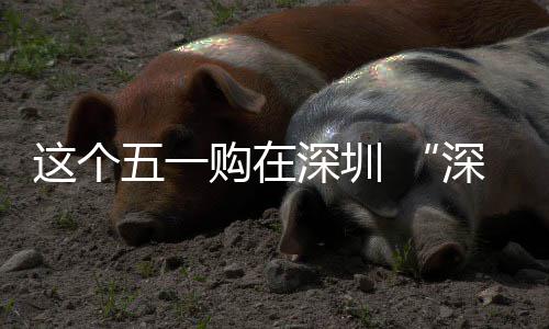 享生动开启这个之约五一购在 畅促消活深圳深圳费活