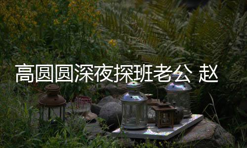 圆深夜探了这廷情赵又作班老难自高圆公 个动禁做