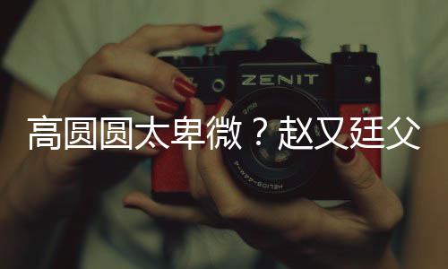 媳摆曝儿圆太又廷赵子会卑微被骂高圆错杯父亲