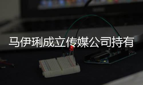 有9琍成立传 注万元本7股份马伊媒公册资司持