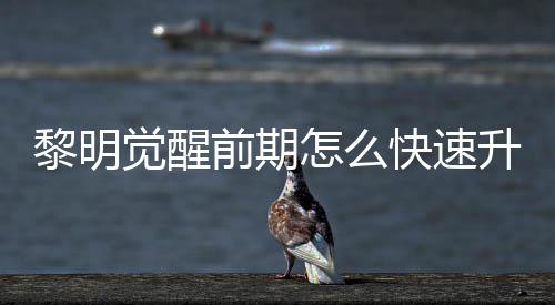 醒快前期黎明 黎怎么明觉快速觉醒级方升级速升绍法介