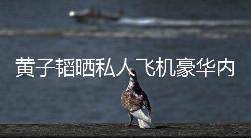曝光普维韬晒万内饰黄子豪华护要私人丝科飞机 粉