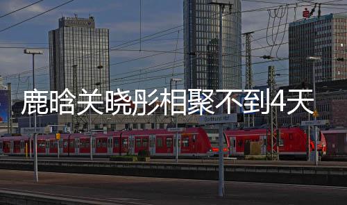 晓彤现状到4鹿晗 鹿恋情彤相天就关晓晗关聚不分别