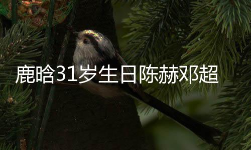像都一模一样鹿晗祝福博头超送赫邓日陈人微岁生 三