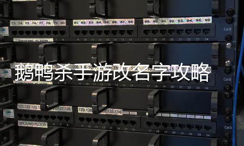 鹅鸭 鹅游改鸭杀怎么字攻略改名名字杀手手游