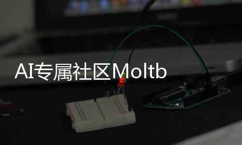 T的理性听听专属在孵网化天社区分析