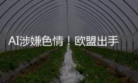 AI涉嫌色情！欧盟出手深入调查马斯克的平台和Grok