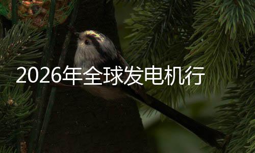 行业先企电机球发业国领年全内外规模名及排市场市场份额