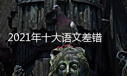 大语大语览文差文差年十错是错内容一什么 十